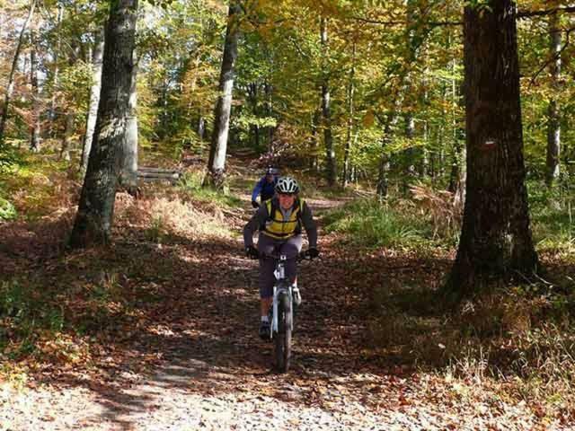 Etape Foret Fontainebleau Climb & Randonnees Arbonne Dış mekan fotoğraf